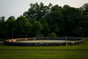 Bigsby Creek's Round Pen
